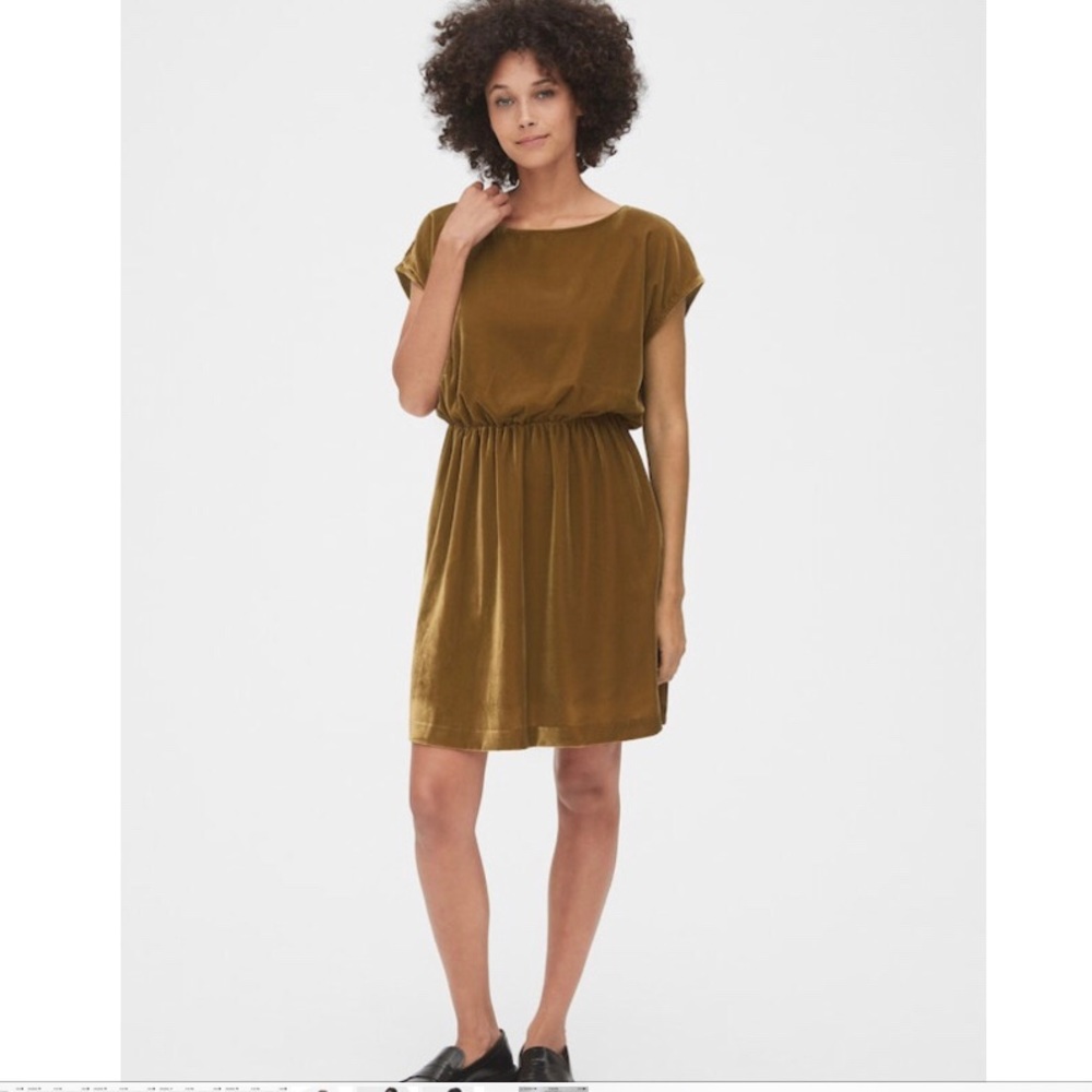 Gap gold velvet skater dress NWT size xs